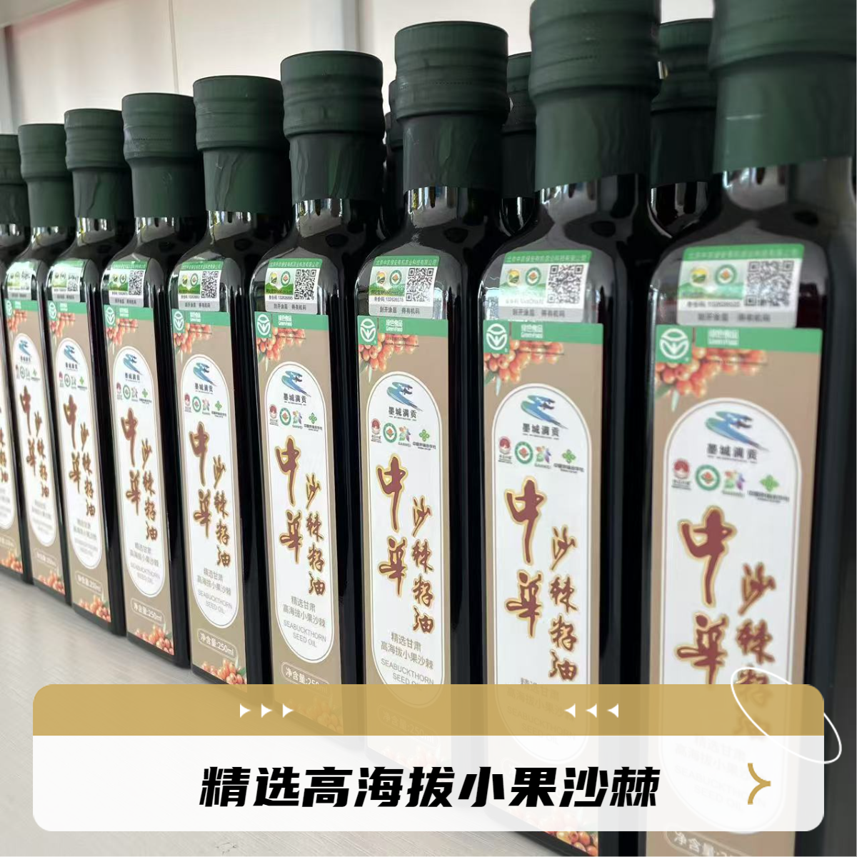 【沙棘籽油】250ml有机小果沙棘浓缩高纯度特产原生态营养丰富