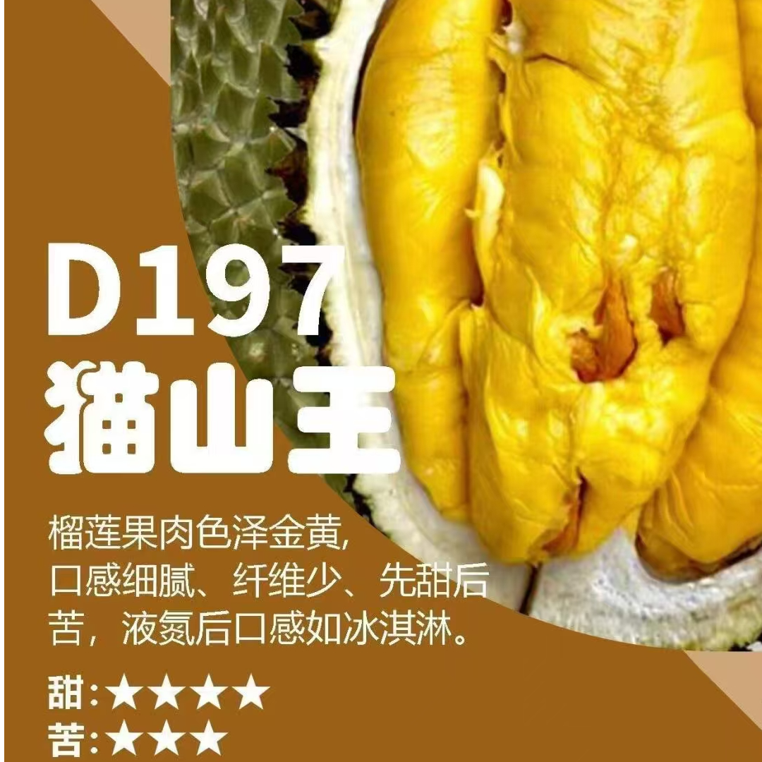 D197猫山王整果（1-7斤） 马来西亚液氮冷冻榴莲猫山王马来西亚