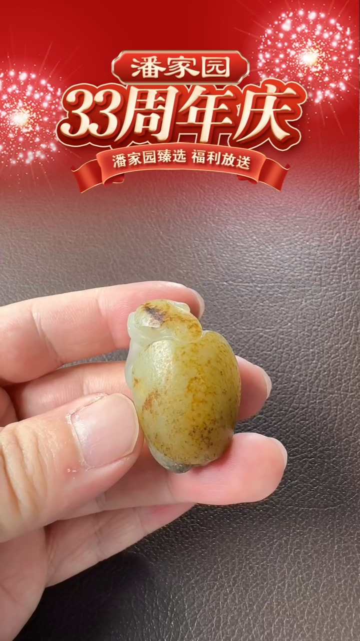 颈饰未镶嵌和田玉124-LSY-1219-和田玉-龙龟-新疆-39*26*20mm