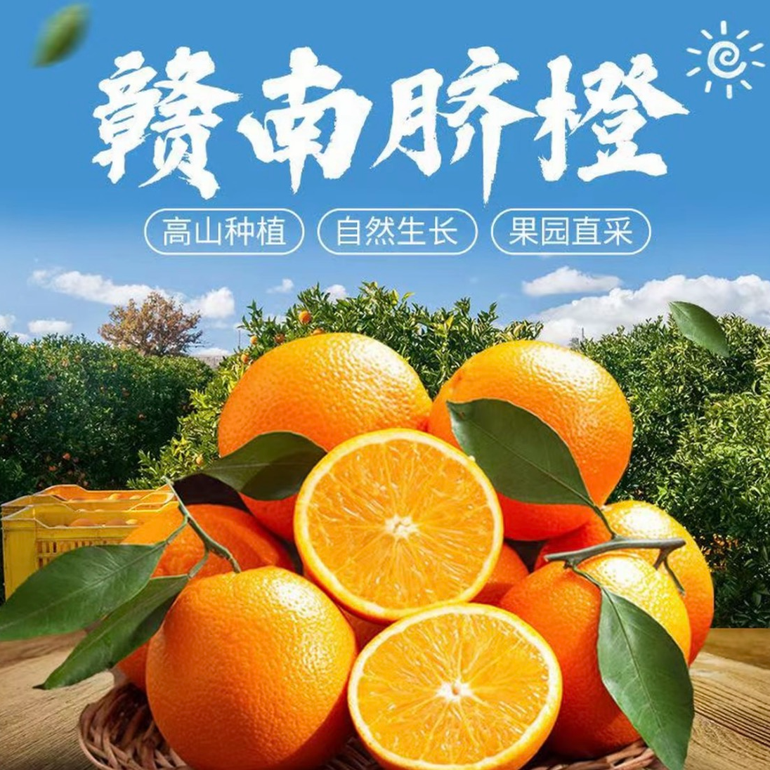 X正宗赣南脐橙果农现摘现发新鲜直达果肉细腻无渣整箱5斤/9斤包邮发货1223江西省