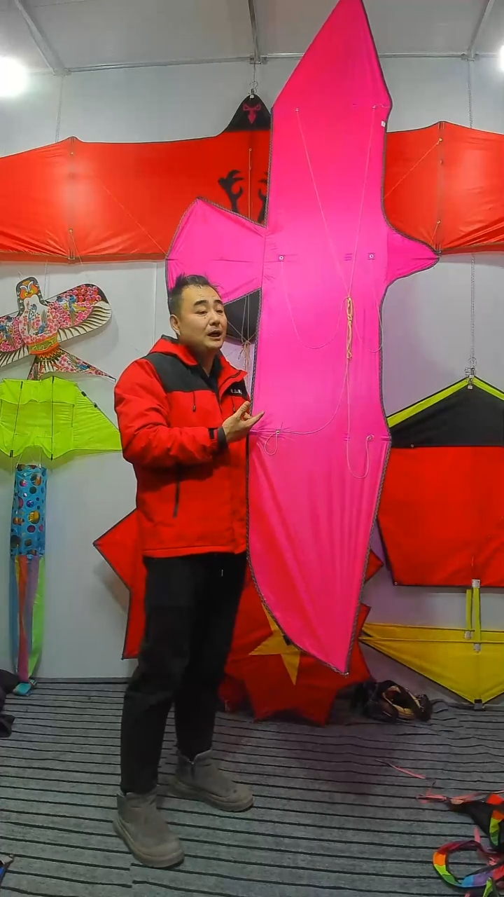 2.8米P31纯色粉色板鹰