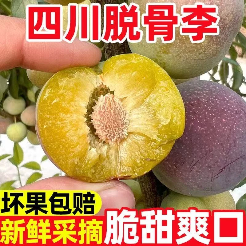 四川正宗脱骨半边红茵红李当季新鲜脆甜多汁水果