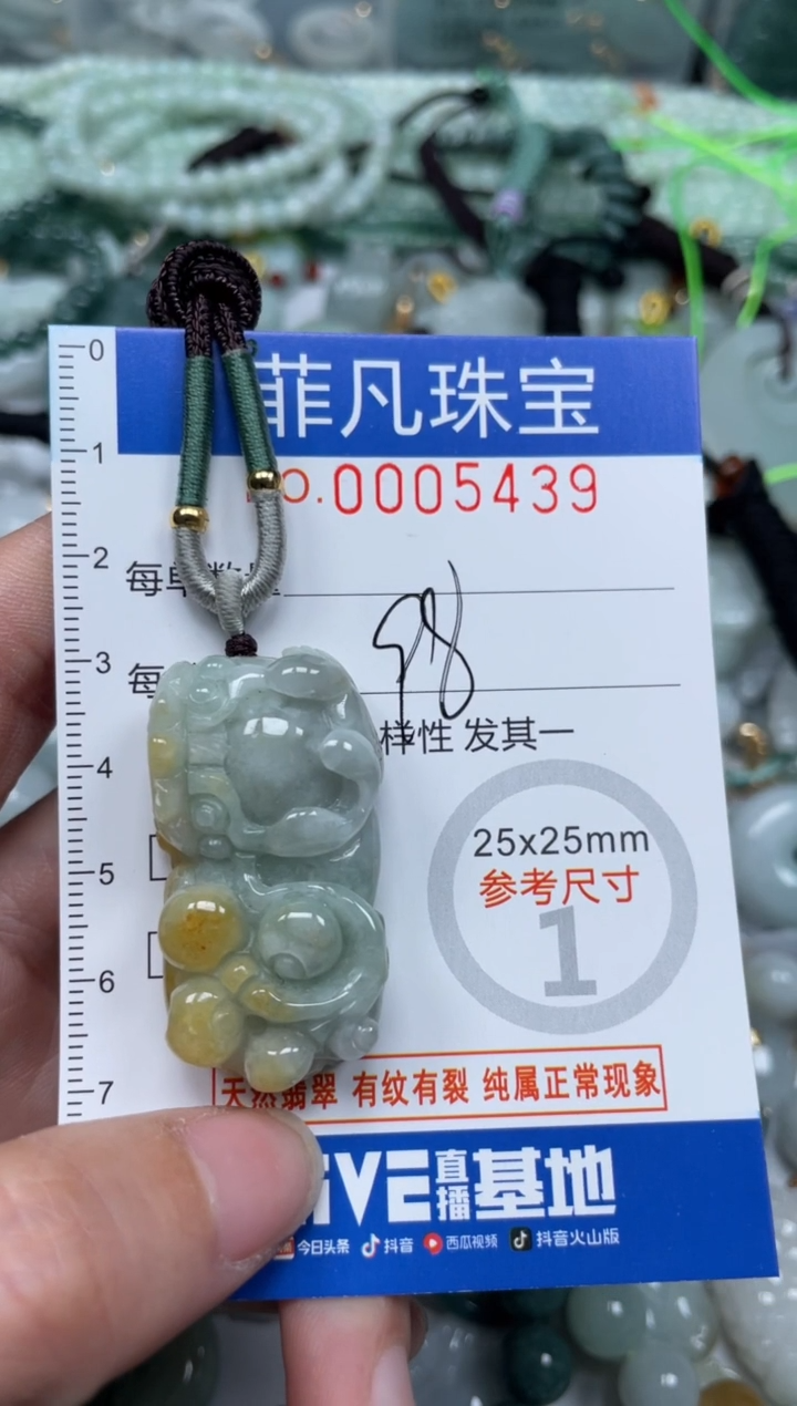 【闪购商品】翡翠颈饰未镶嵌00..5439