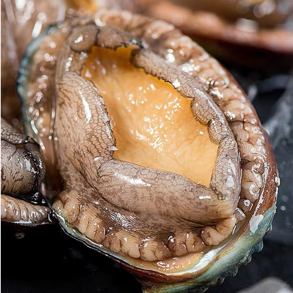 鲍鱼（20g-60g)18头-8头拍10送1