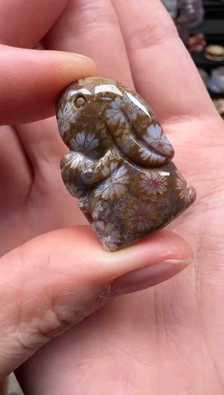 颈饰未镶嵌硅化珊瑚（珊瑚玉）126