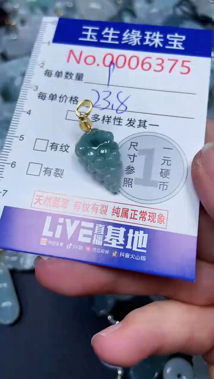 【闪购商品】翡翠颈饰未镶嵌闪购00006375