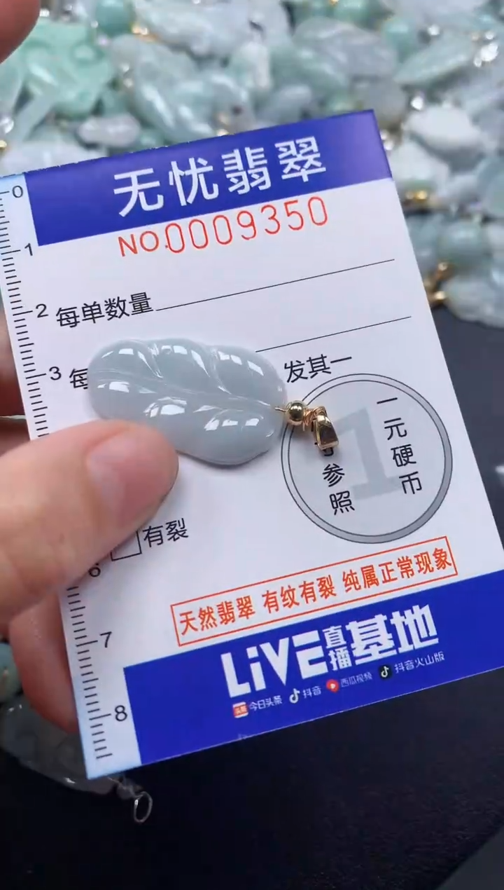 颈饰未镶嵌翡翠9350