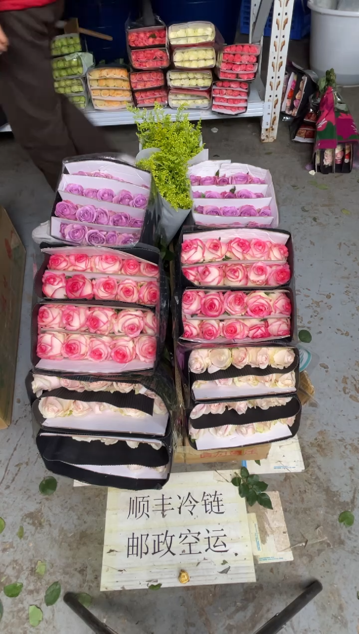 粉红20枝+艾沙20扎+紫霞20枝+黄莺