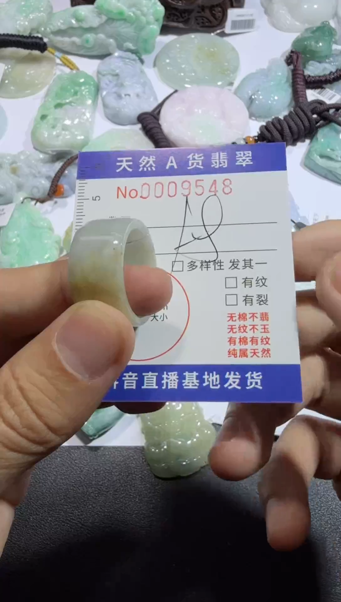 【闪购商品】翡翠颈饰未镶嵌00009548