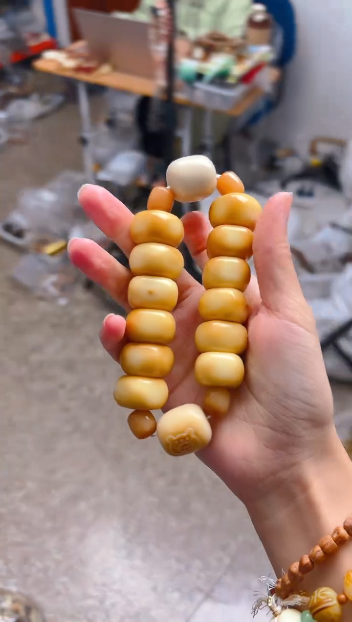 吊坠菩提根/象牙果炭烤豆腐双排单圈  年糕