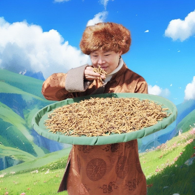 【3干虫草定向链接】干冬虫夏雪山冬虫夏草2025年新货晒干虫草
