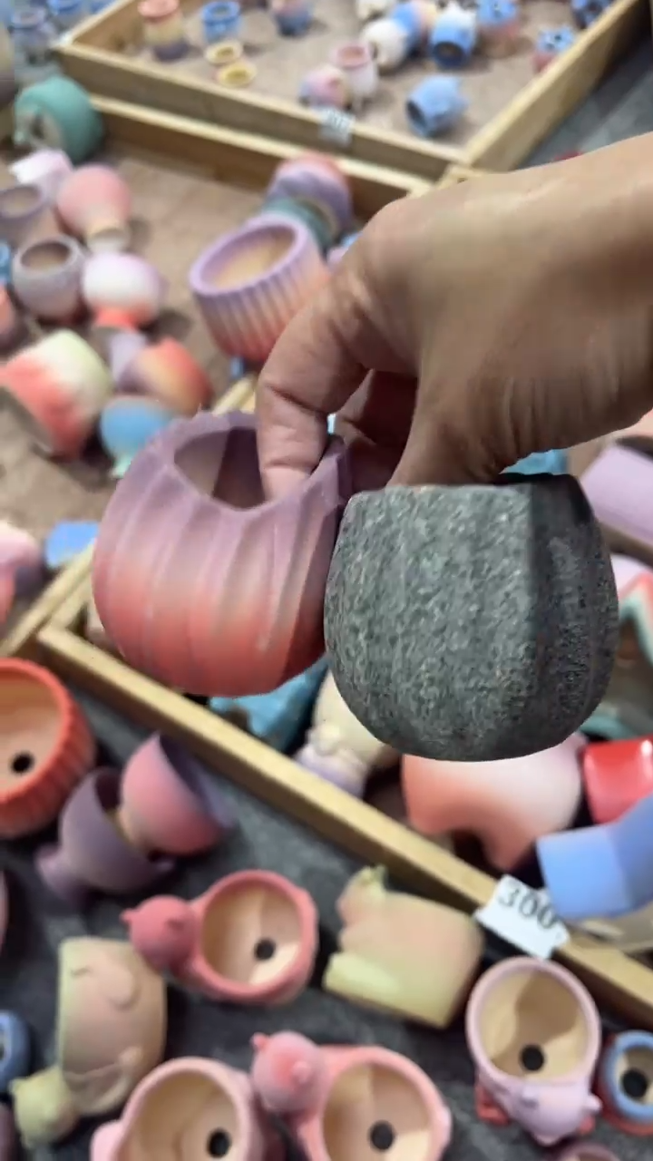 【闪购商品】红陶111