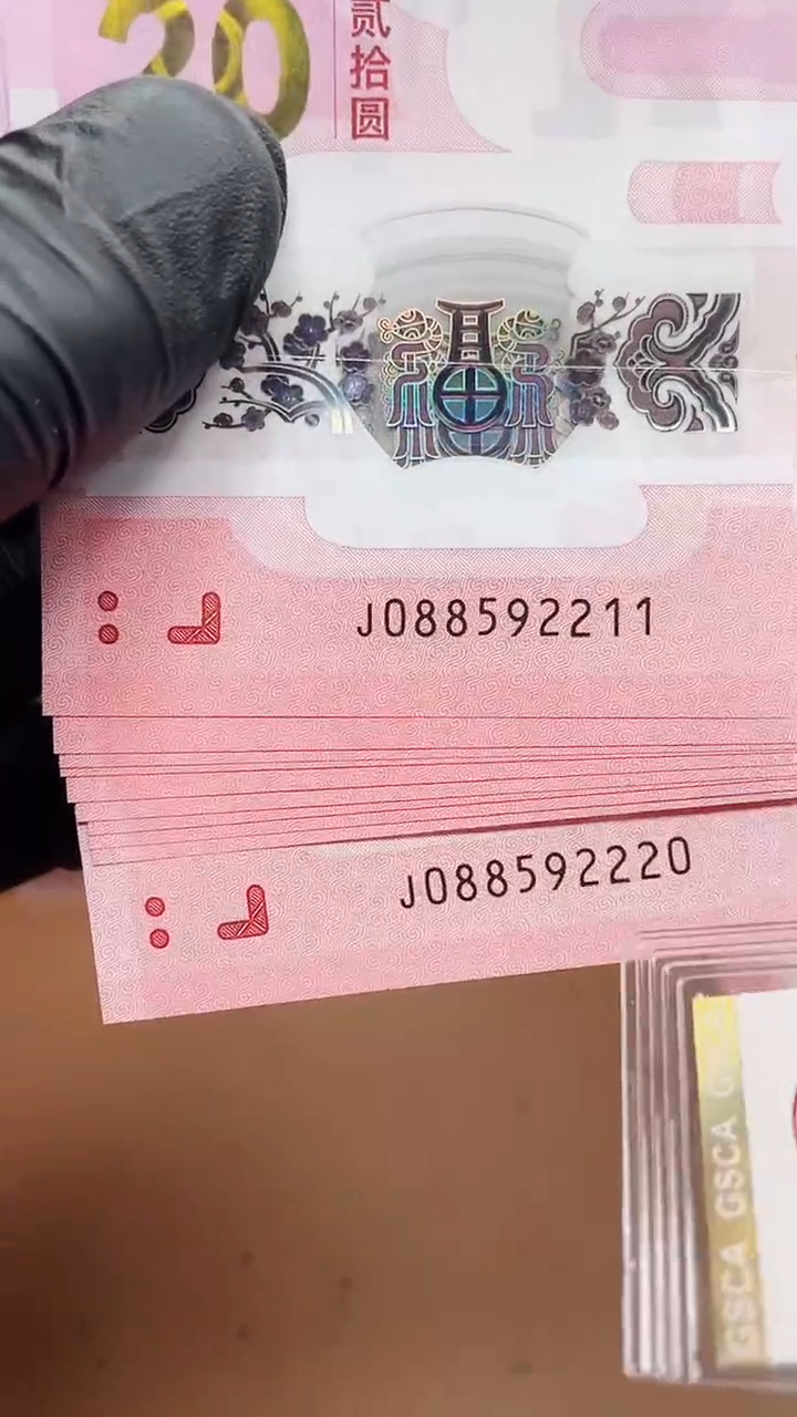 【闪购商品】蛇钞088592211标十1111