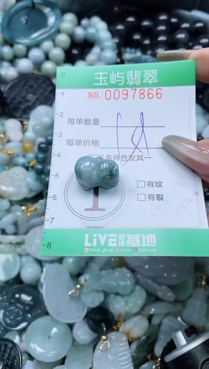 【闪购商品】翡翠未镶嵌颈饰闪购0097866