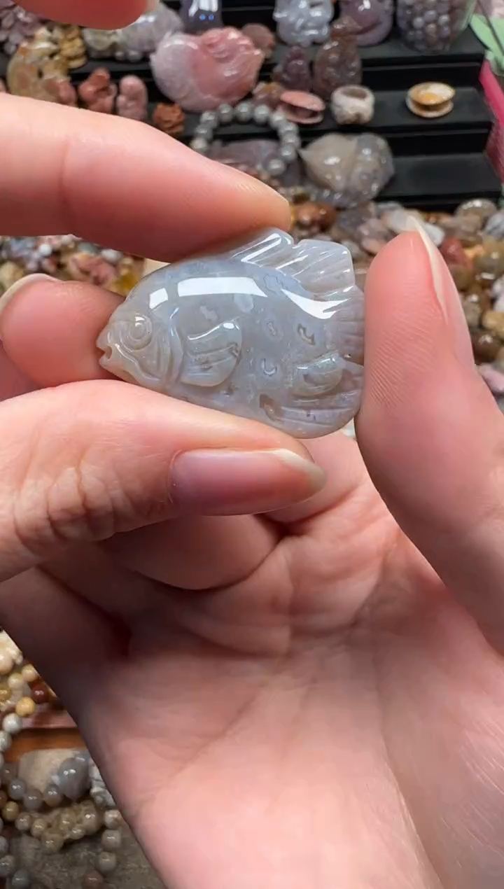 颈饰未镶嵌硅化珊瑚（珊瑚玉）679