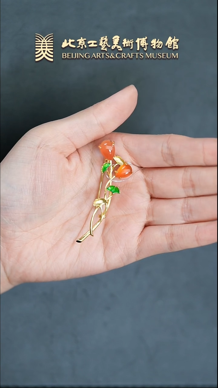 【闪购商品】南红玛瑙银S925镶嵌手串B0316GMD521（多样性发货）胸针