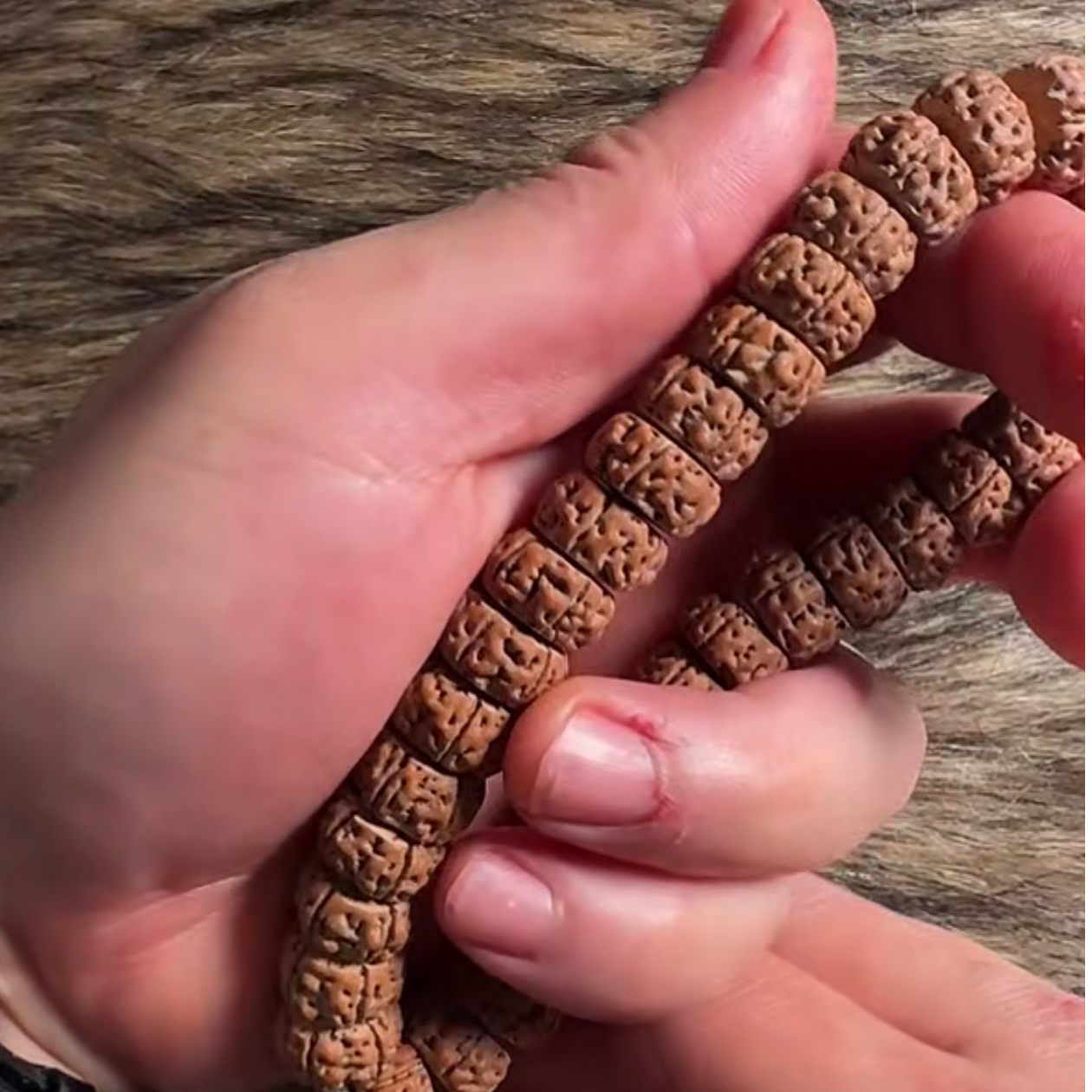 【可青出品】精工定制级【藏式】【老树王】小金刚【单圈】