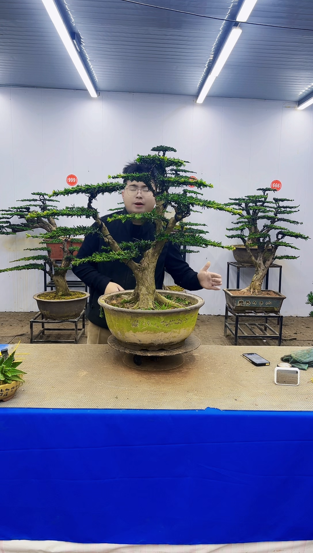 完全开放一物一拍，所见即所得