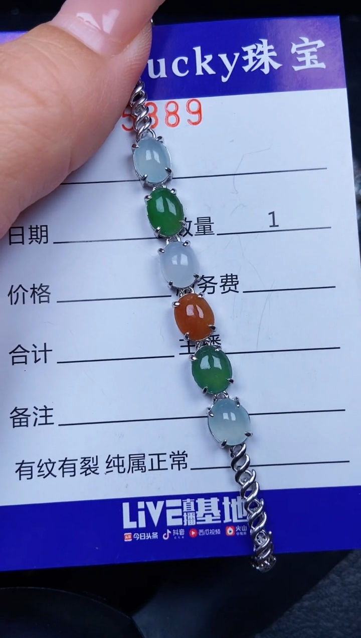 翡翠银S925镶嵌颈饰5889