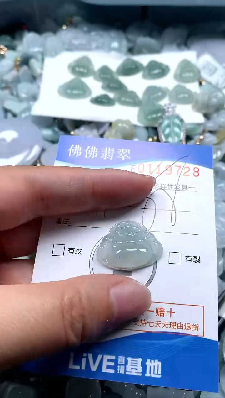 【闪购商品】翡翠颈饰未镶嵌闪购商品0119728