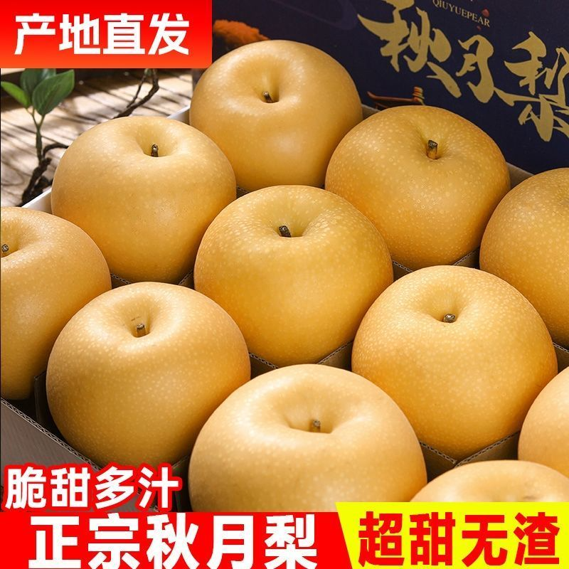 正宗秋月梨脆甜冰糖梨子当季新鲜水果薄皮多汁现摘批发脆梨子整箱