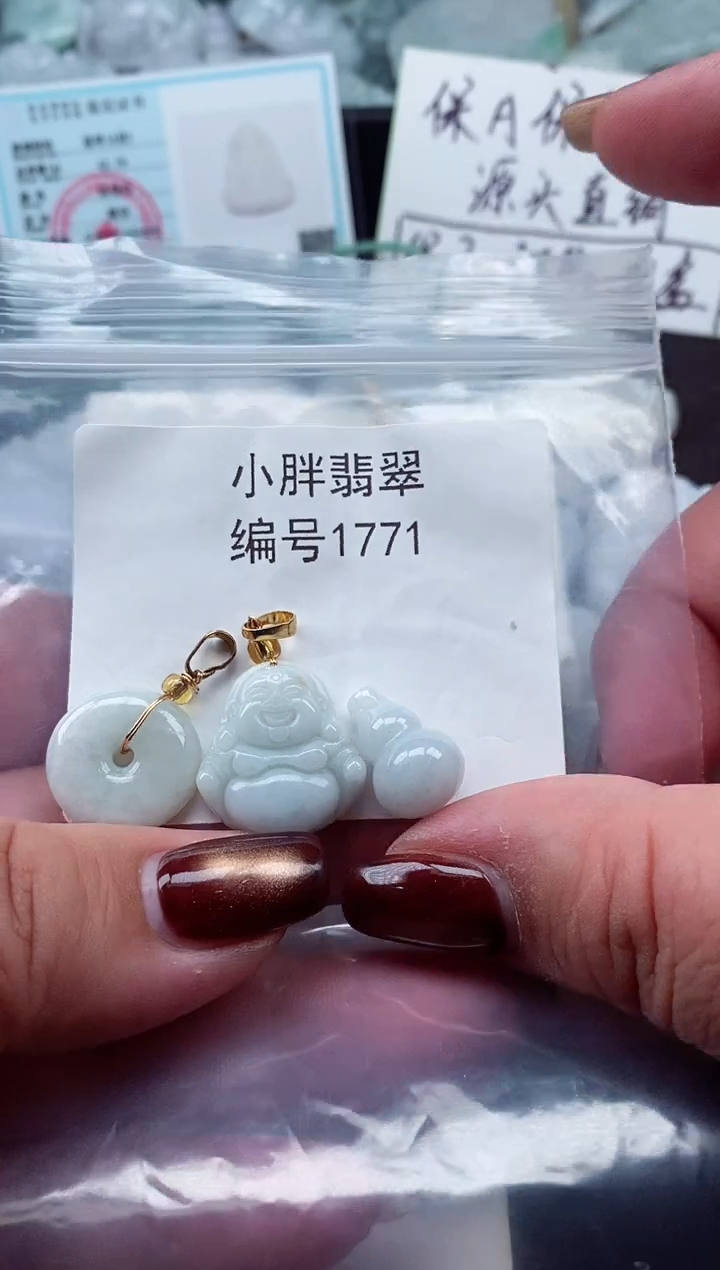 颈饰未镶嵌翡翠缅甸天然A货翡翠1771