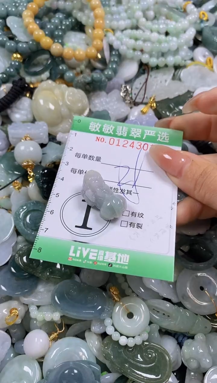 【闪购商品】翡翠颈饰未镶嵌闪购0124301