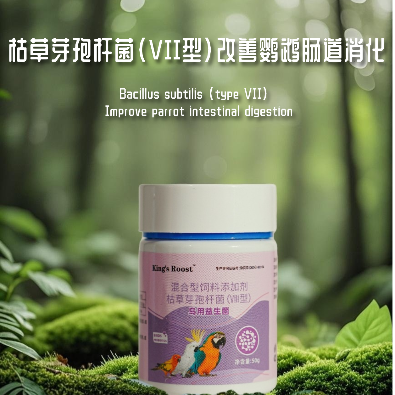 KR鹦鹉益生菌 改善鹦鹉消化，提高肠胃蠕动（非兽药）