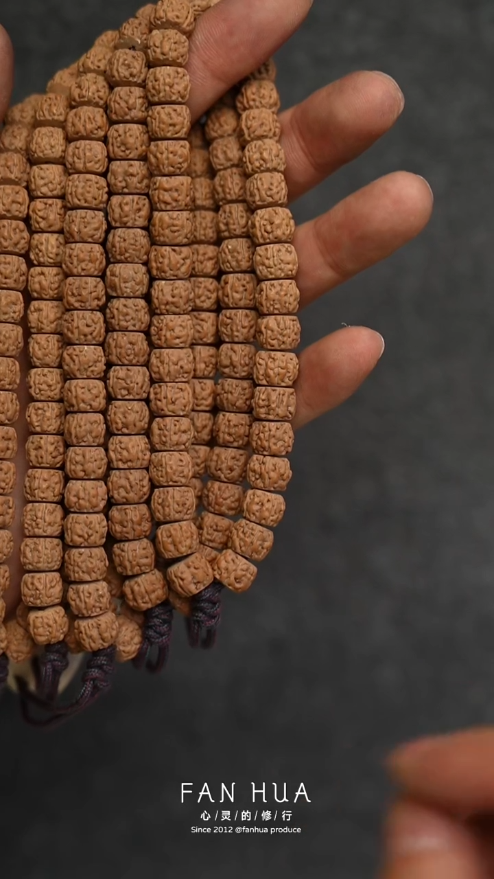 手串金刚菩提黄点龙