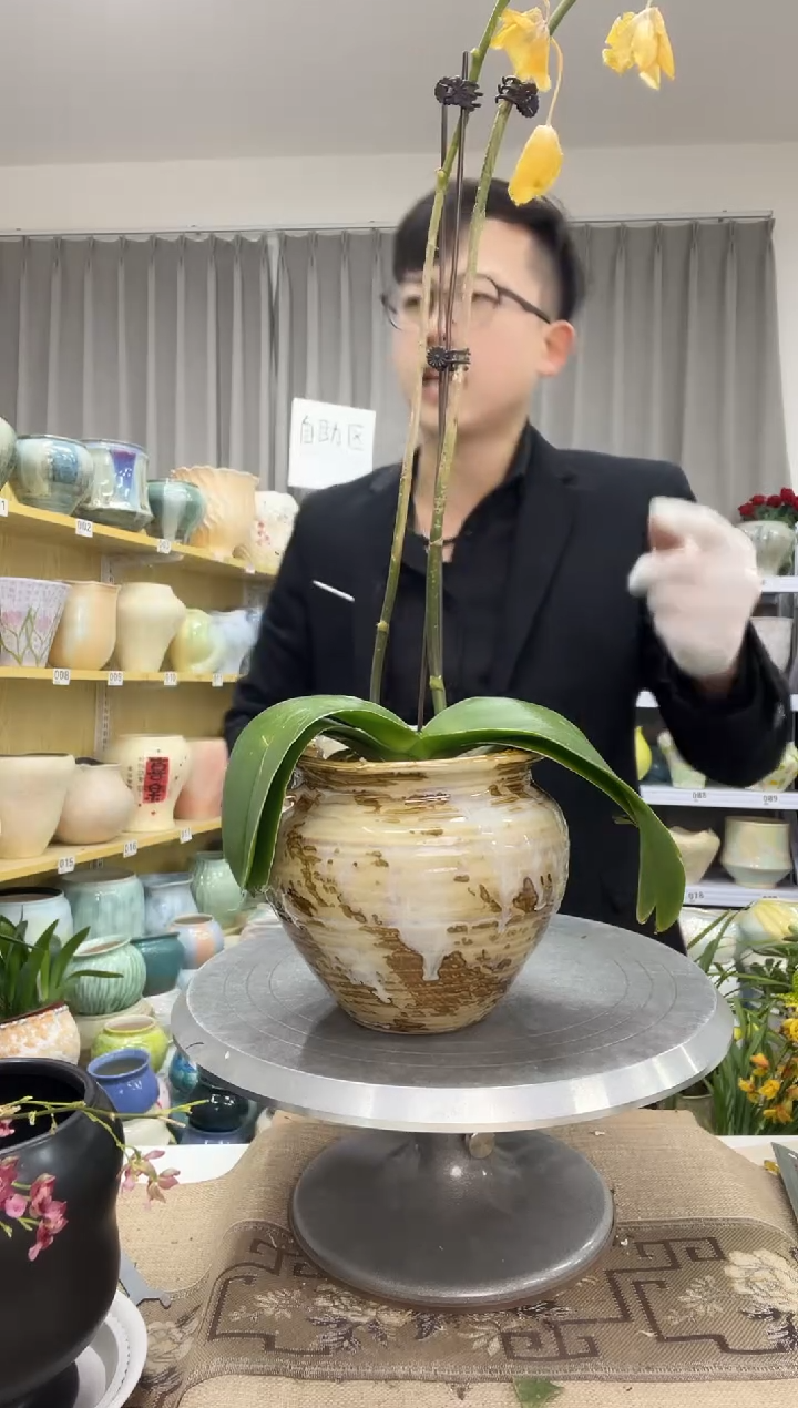 【12.29】花盆链接 高：14  口：11
