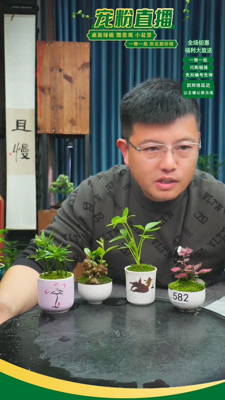 无花朵玫**年苔藓微景观582号