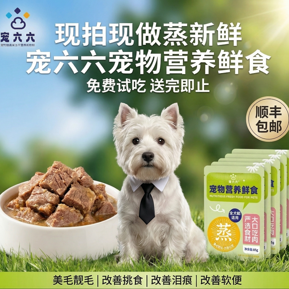 宠六六鲜主食狗饭湿粮配餐新鲜低脂狗狗食品鲜食幼犬成犬全价营养商品图