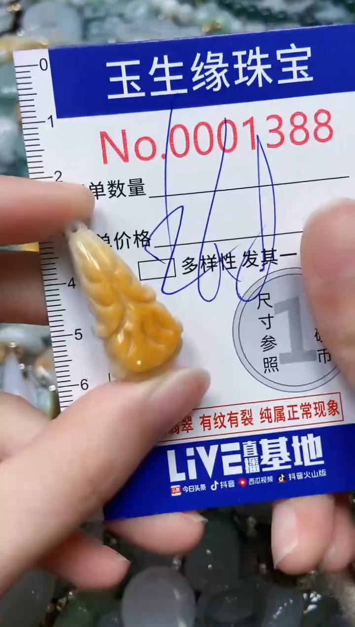 【闪购商品】翡翠颈饰未镶嵌闪购00001388
