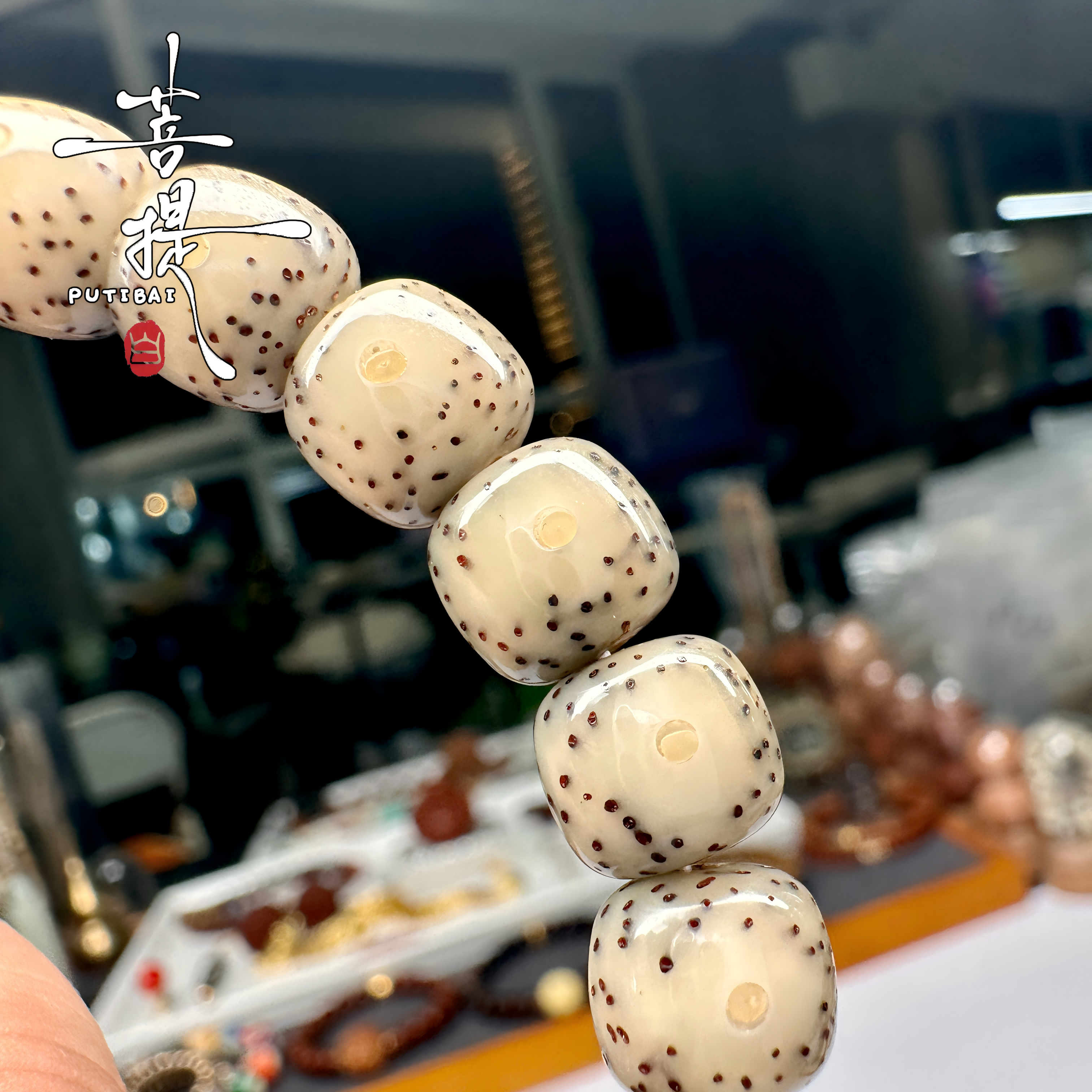 菩提白 入门 星月菩提果冻糯冰糖透奶奶灰大眼睛留白手串