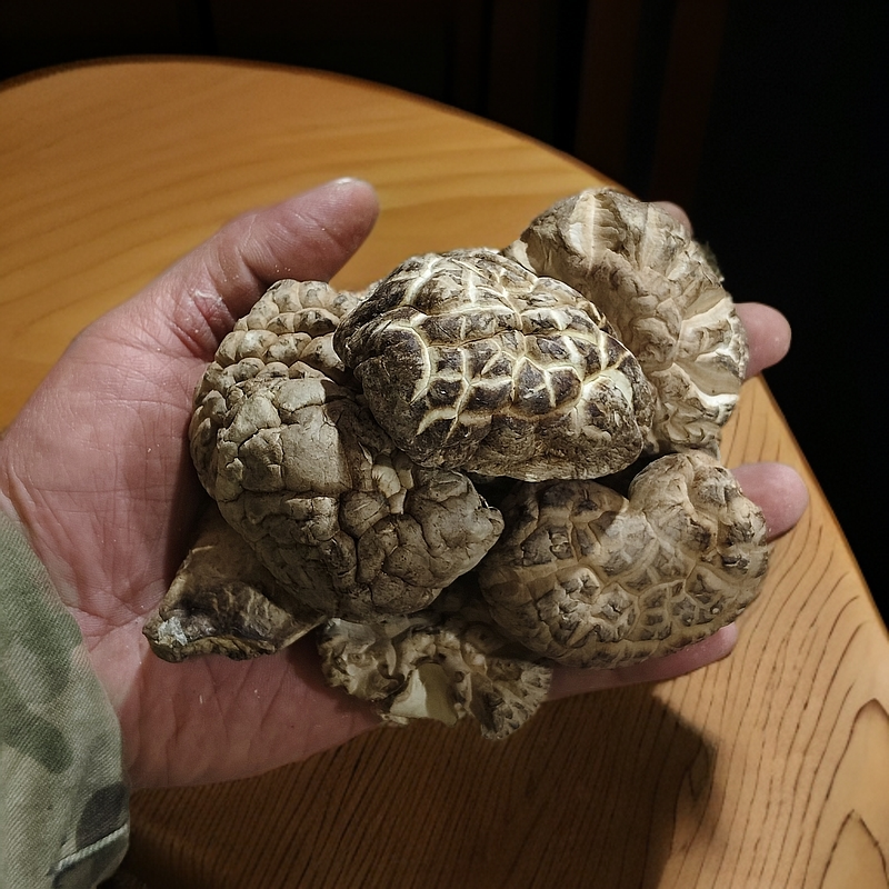 【随州香菇】丑香菇 新货福利 形状不好 味道很香 价格便宜