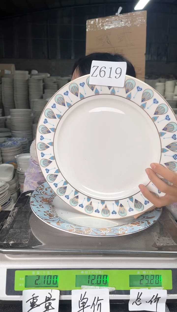 【闪购商品】搪瓷Z619  10.5寸  2个