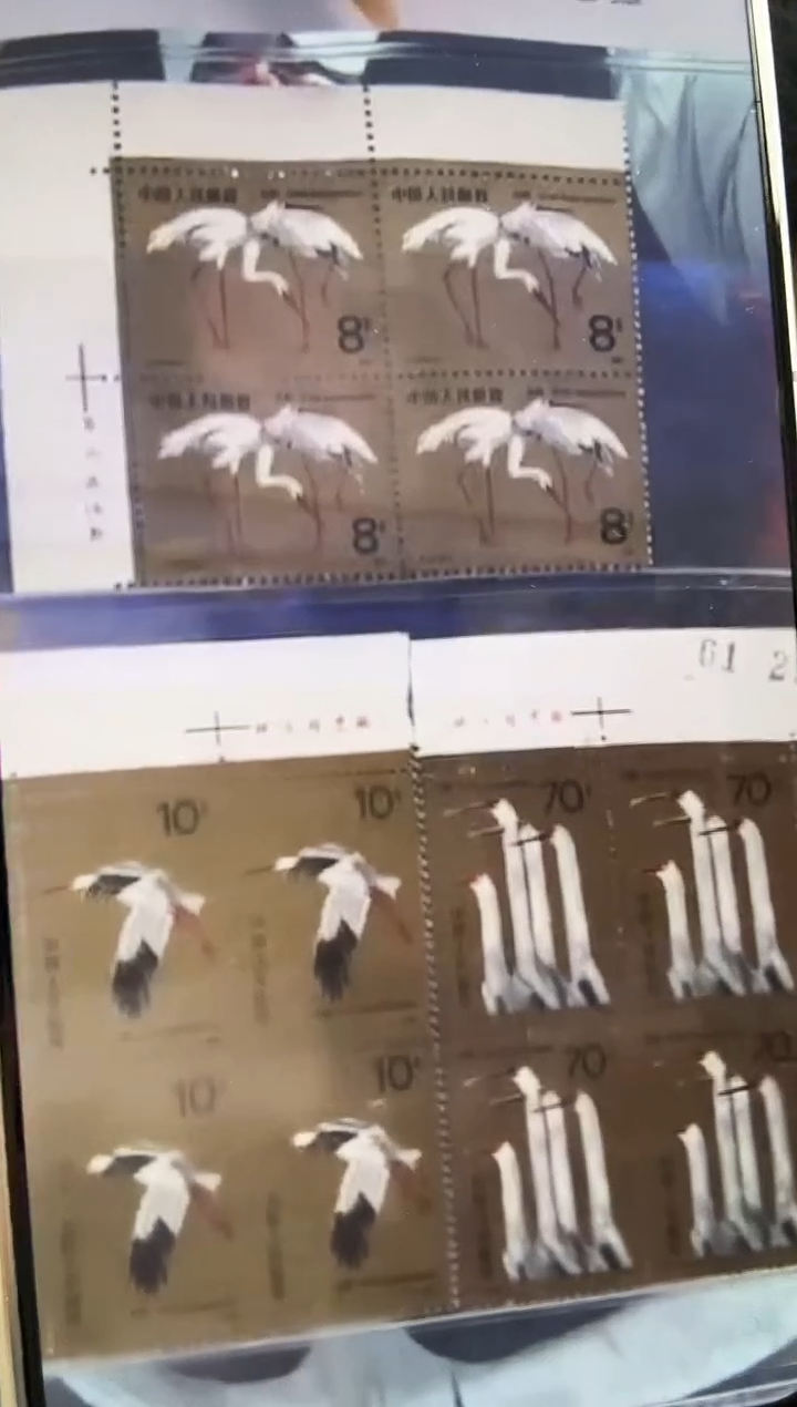 中国邮政-白鹤方连带厂铭（片）S