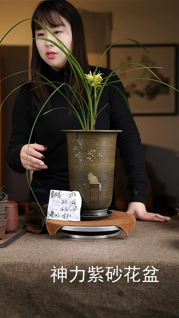 【闪购商品】紫砂花盆紫砂花盆2776+z