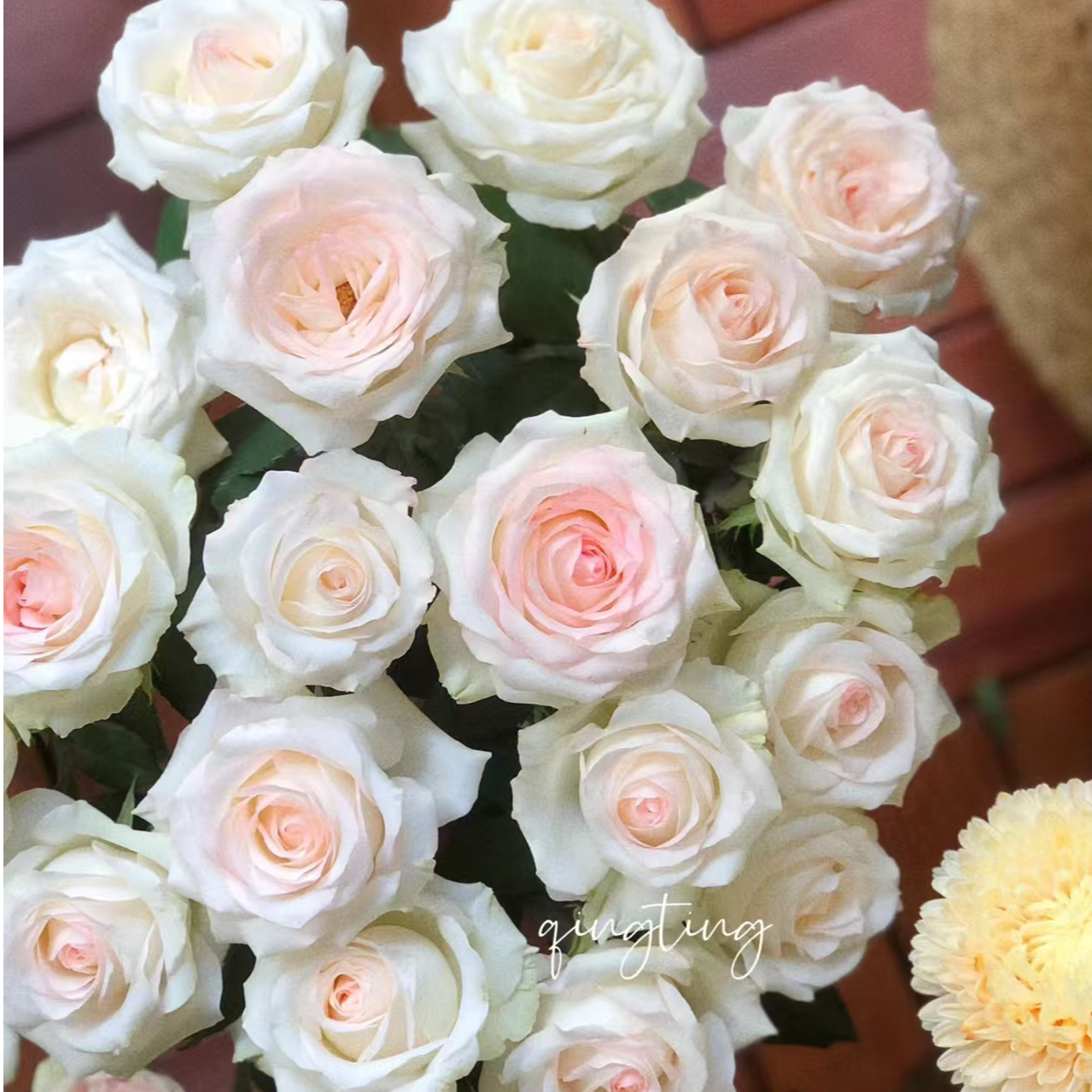 小白兔玫瑰10枝  云南鲜花基地直发