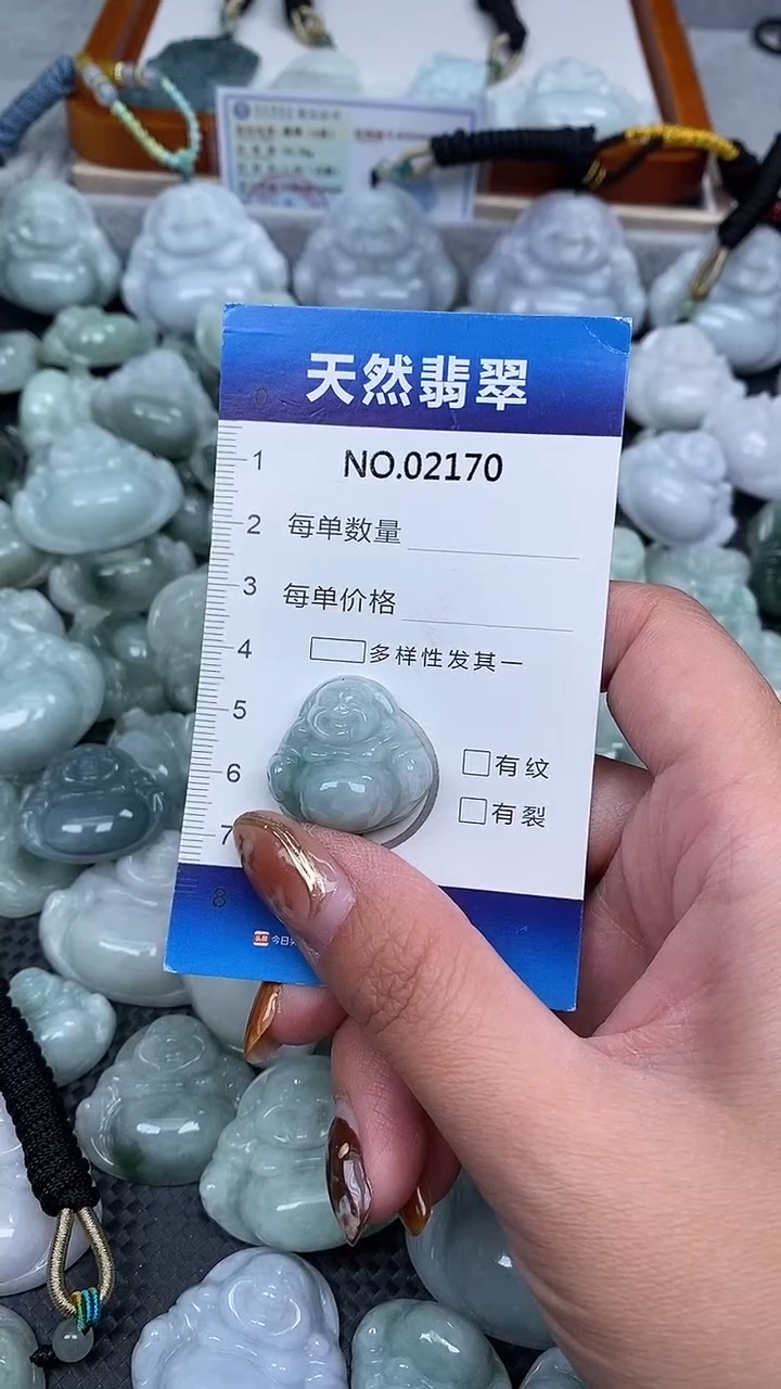 颈饰未镶嵌翡翠纯天然A货翡翠2170