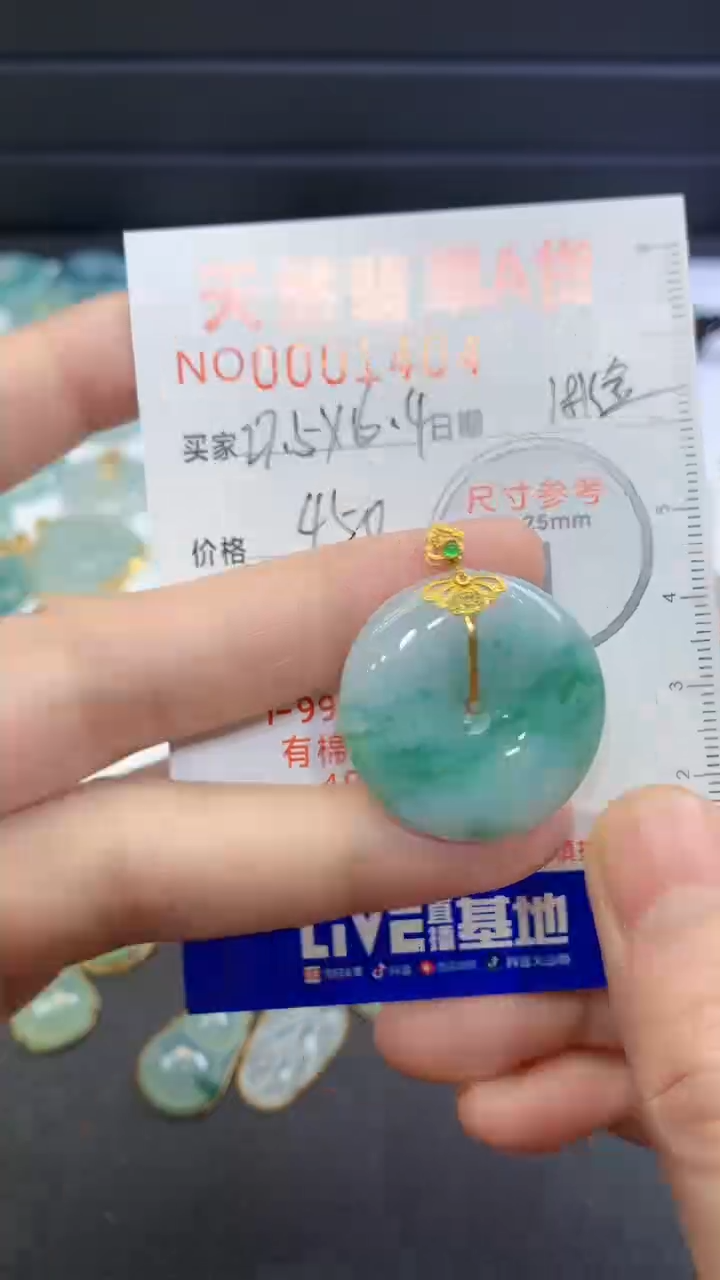 【闪购商品】翡翠颈饰未镶嵌翡翠