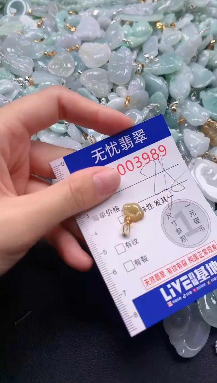 颈饰未镶嵌翡翠3989