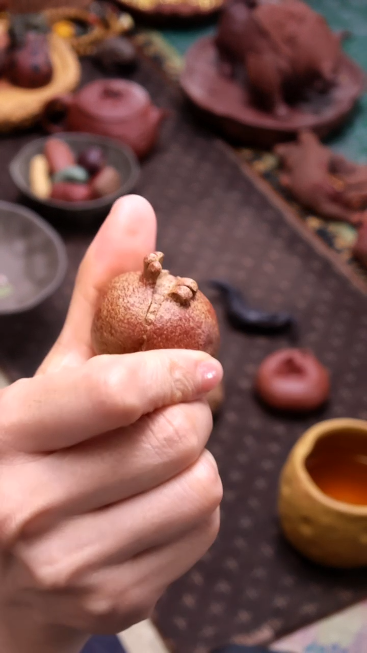 王登龙百果《石榴》