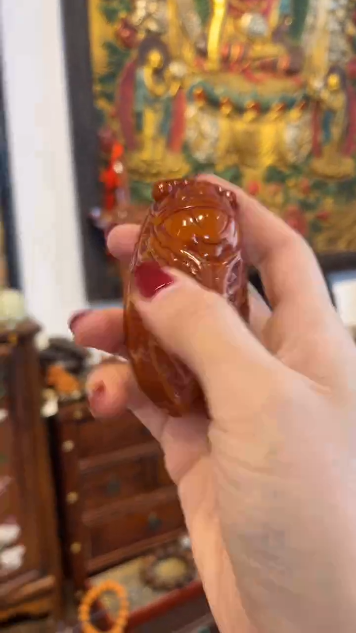 陶开开开---开开开---蝉