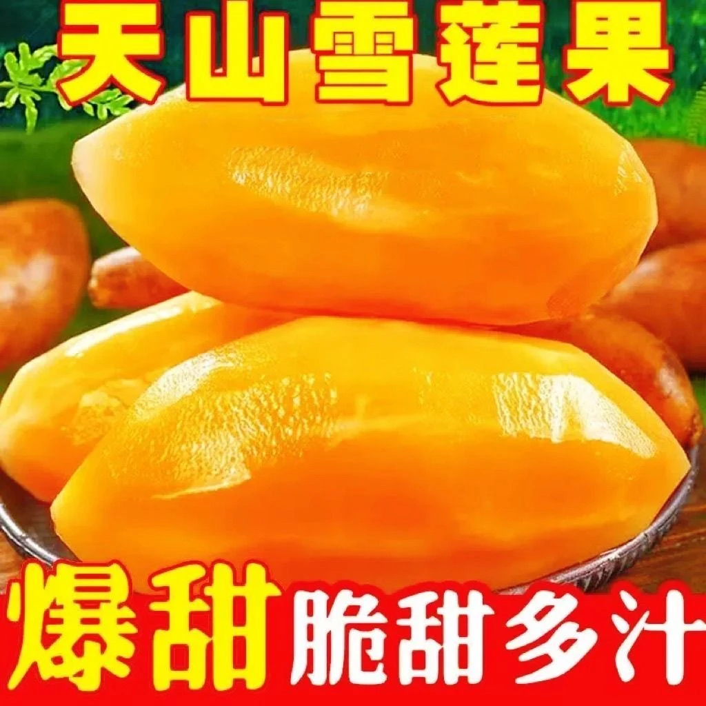 【现挖现发】云南正宗黄心天山雪莲果现挖新鲜应季水果清甜脆爽q1