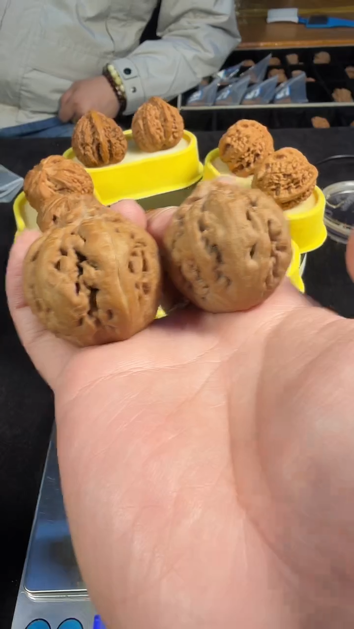 吊坠文玩核桃40尺霸王龙（以前万元货）