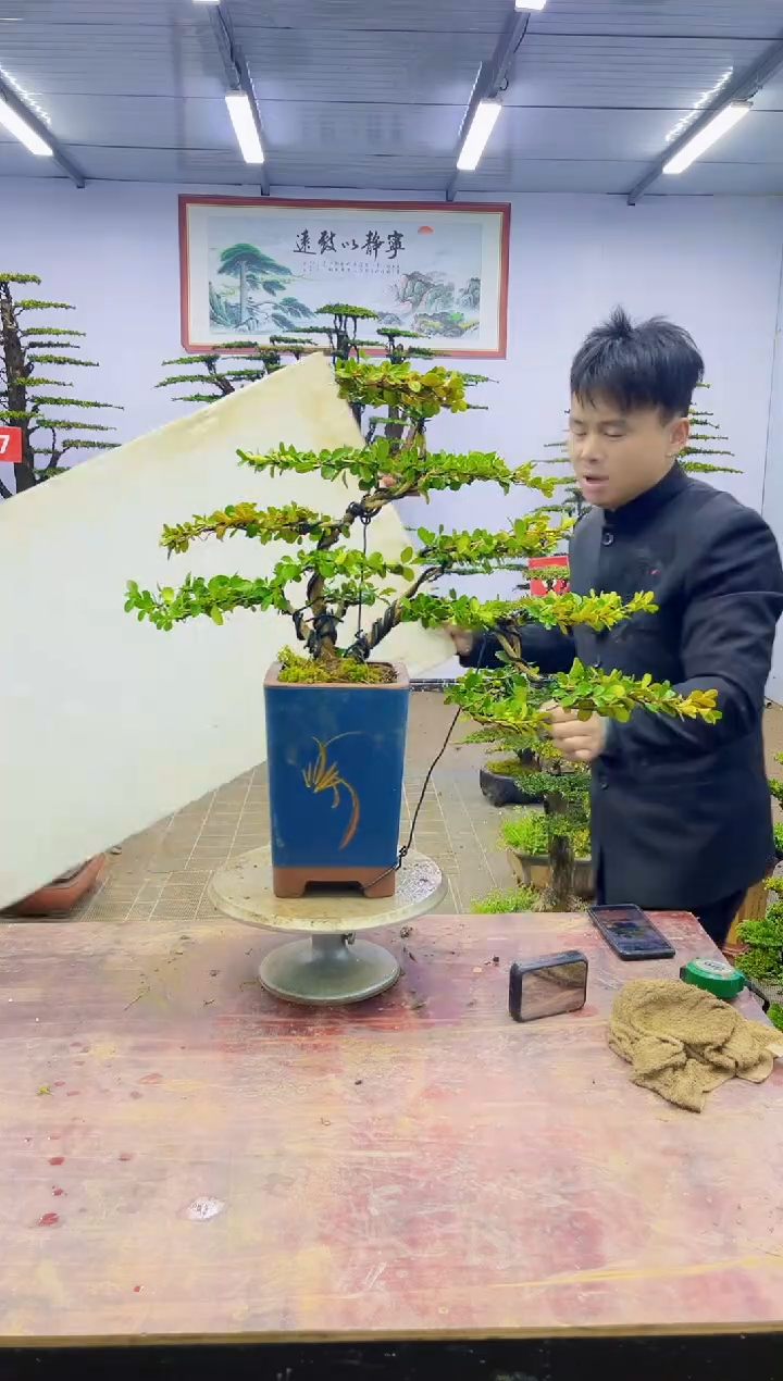 【闪购商品】一物一拍，所见即所得