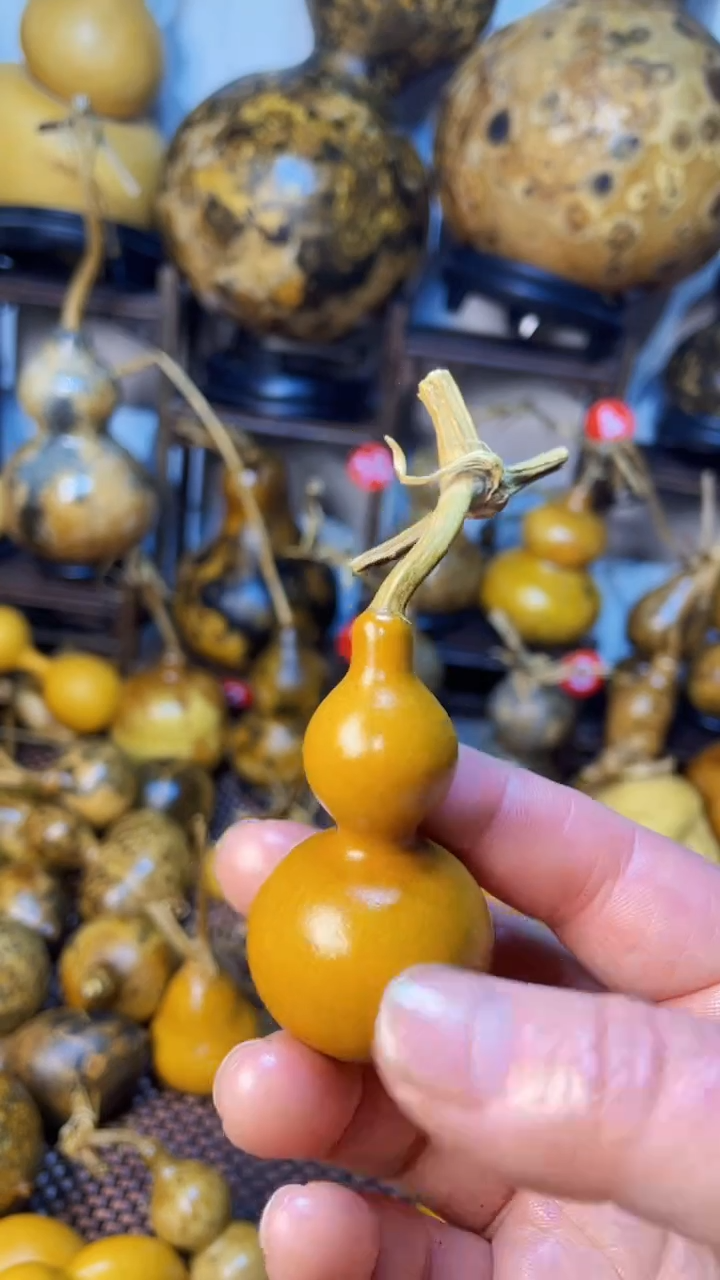 【闪购商品】葫芦葫芦葫芦葫芦