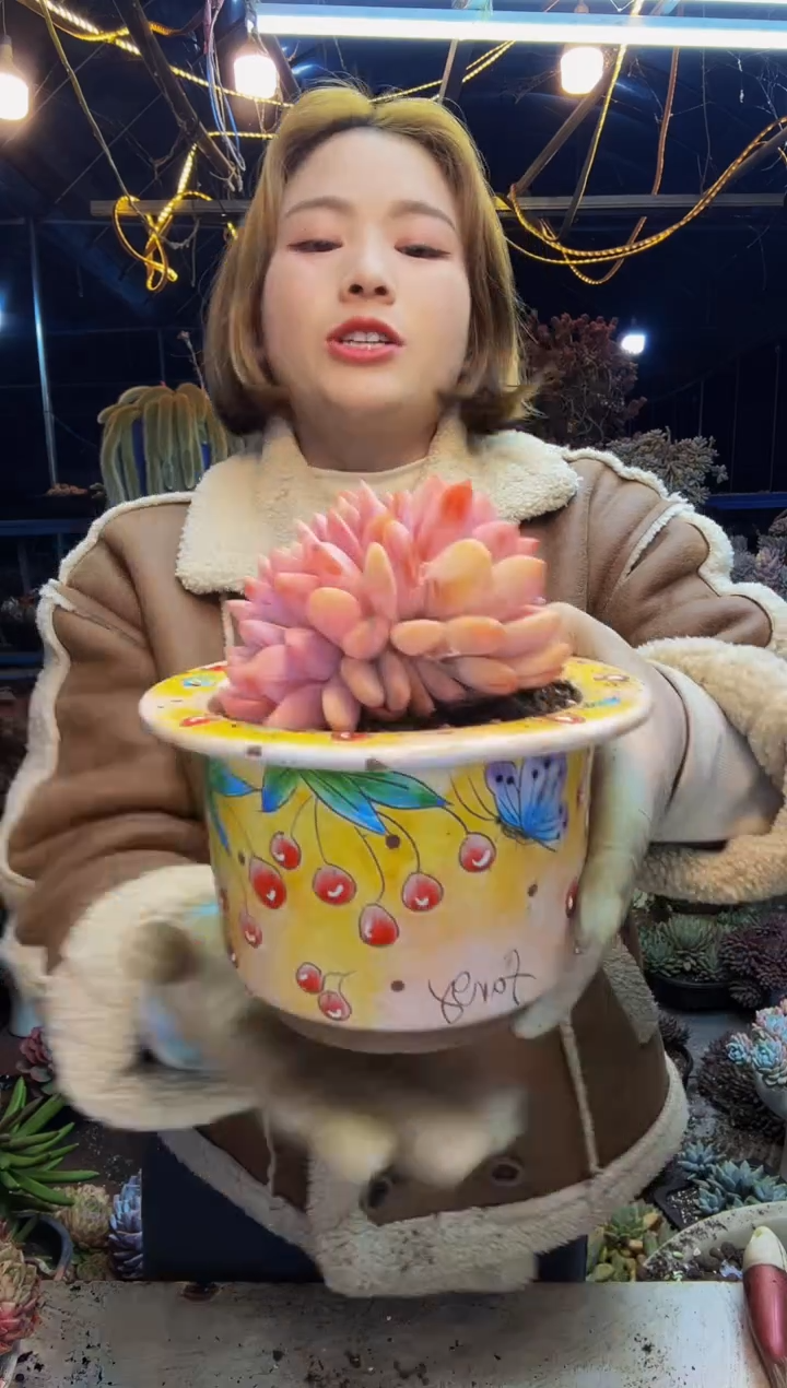 全状态橙梦露缀脱土包邮