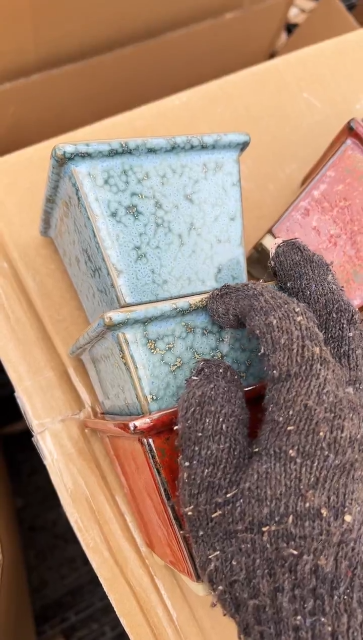 君****洗77号3个微瑕的